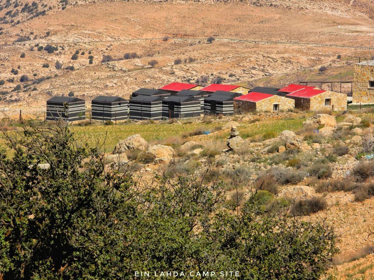 Ein Lahda Camp-Site Hotel Dana Exterior photo